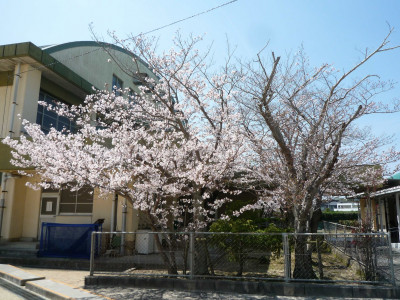P1100832