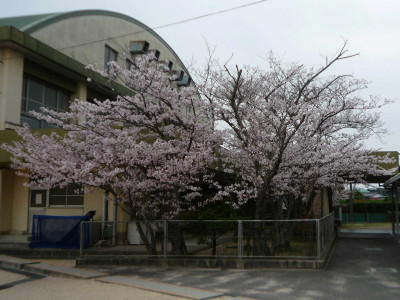 P1100833