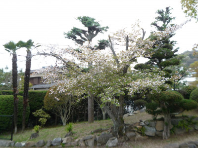 P1100835