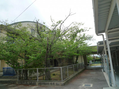P1100977