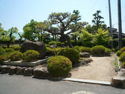 P1110036